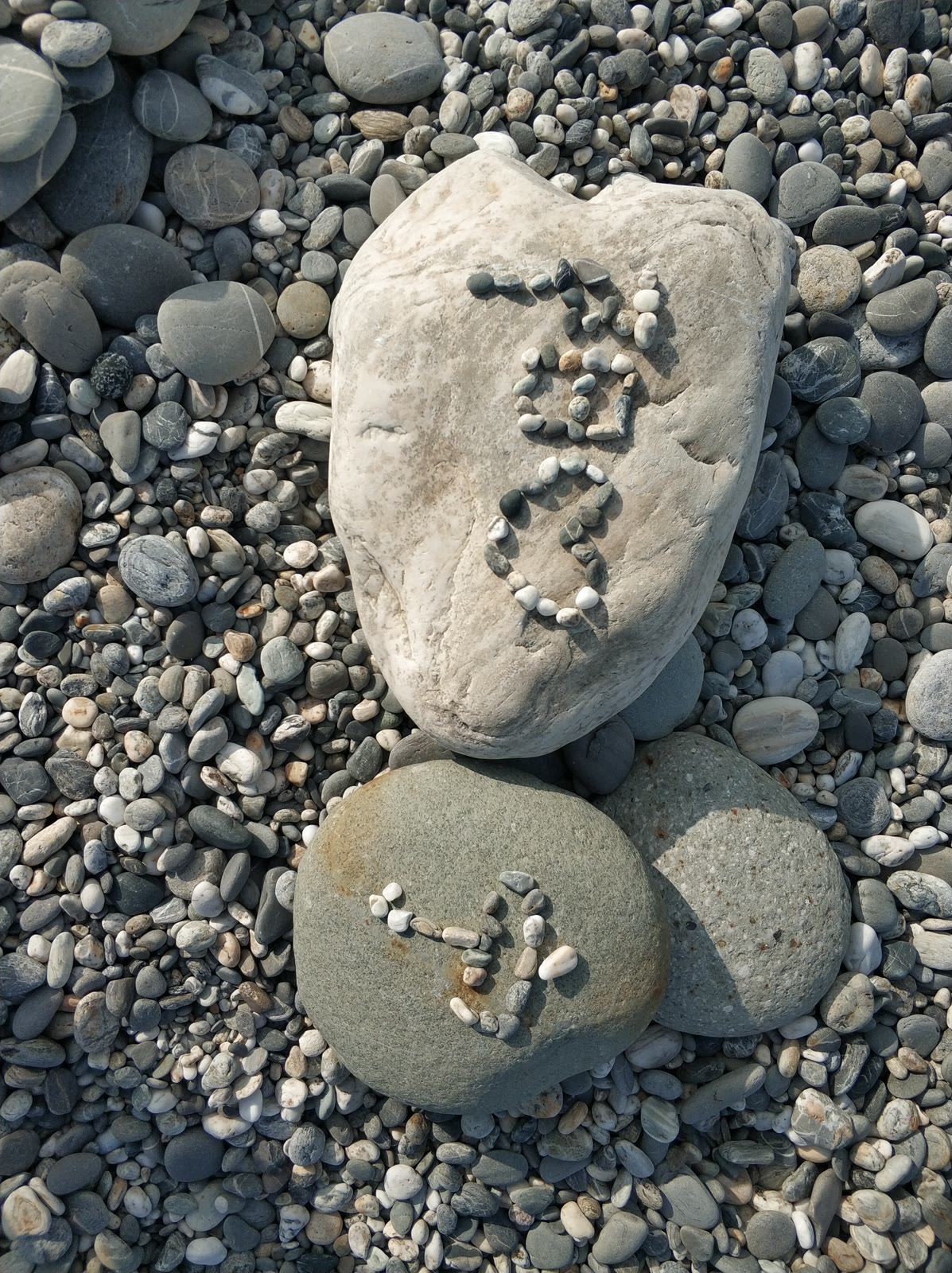 2019 · 毕业